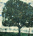 Gustav Klimt Apple Tree II painting